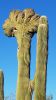 PICTURES/Jun Kaneko Exhibit at Desert Botanical Garden/t_20180105_154535.jpg